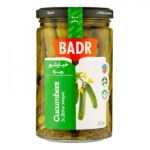 خیارشور ویژه بدر(630 گرم)